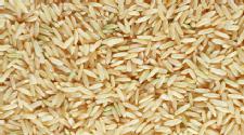 Arsenic Found in Rice at High Levels