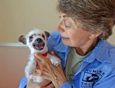 From Warren Eckstein - Puppy With Unusual Appearance Finds Home With Family Who 'Saw Her For Who She Was'