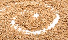 Whole Grains Defined