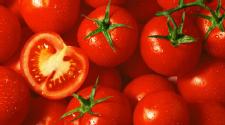 Tomatoes may reduce prostate cancer risk