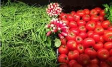 Vine Tomatoes: Between Quality and Price